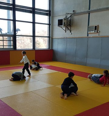 sport5_judo