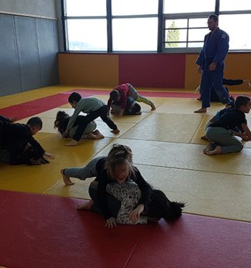 sport6_judo